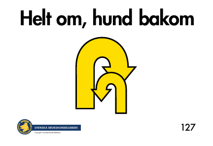 127. Helt om, hund bakom