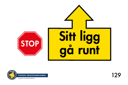 129. Sitt, ligg, gå runt