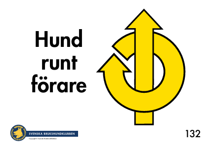 132. Helt varv runt förare, framåt