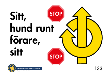 133. Sitt, helt varv runt förare, sitt