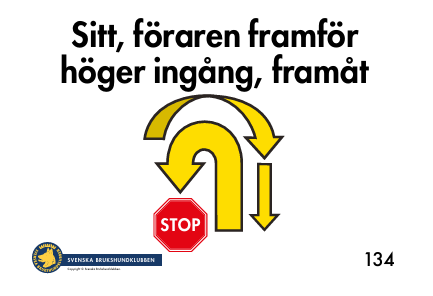 134. Sitt, förare framför hund, höger ingång