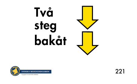 221. Två steg bakåt
