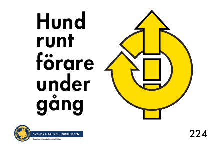 224. Helt varv runt förare under gång framåt