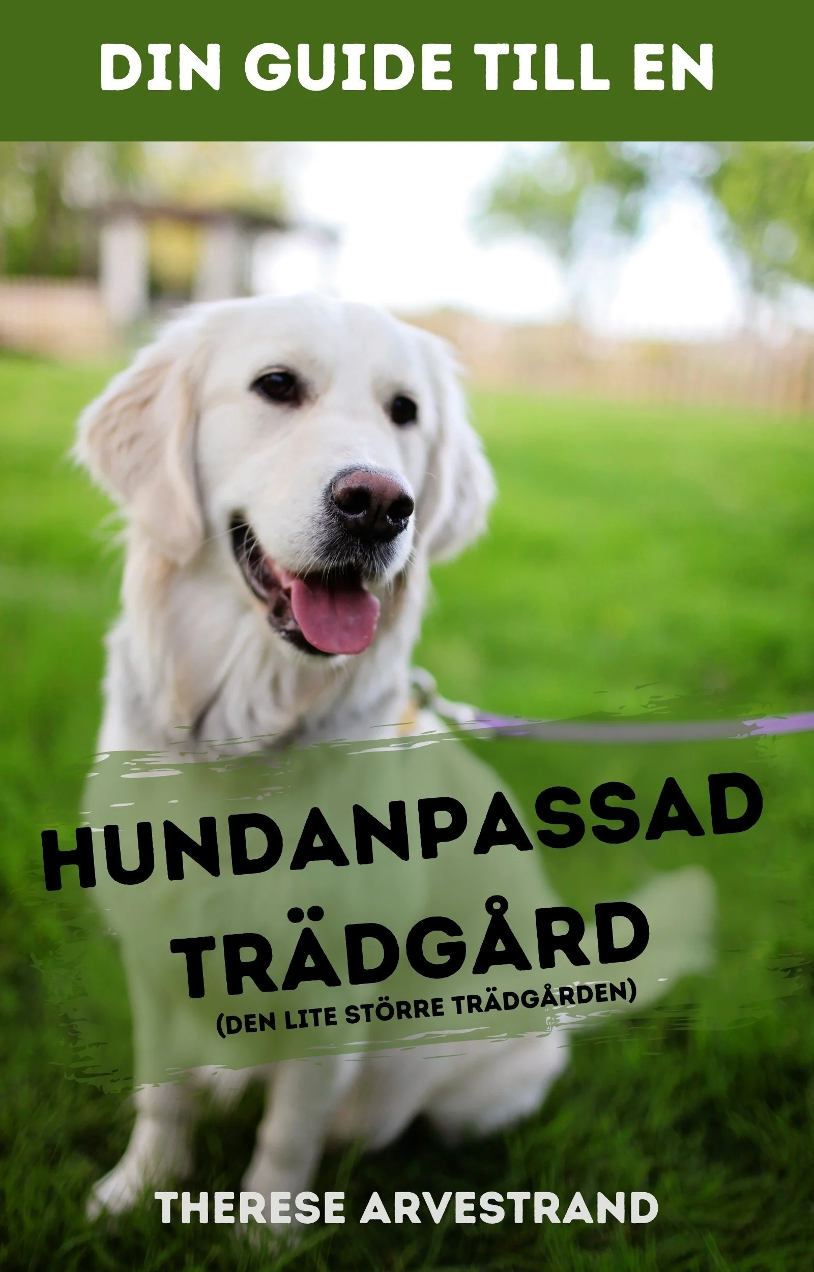 GUIDE - Hundanpassad trädgård