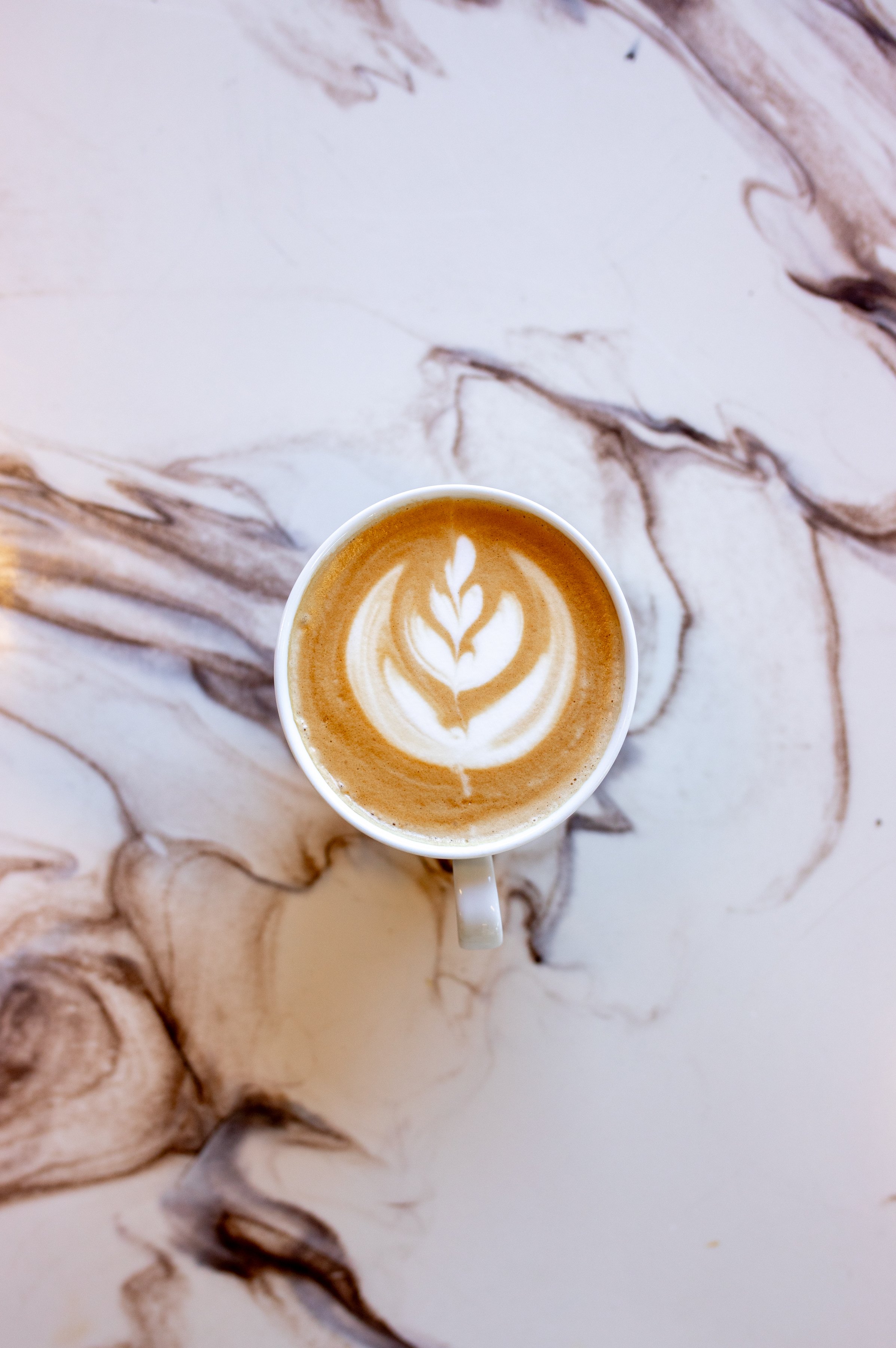 2024-10-01-moai-pumkinlatte-29.jpg