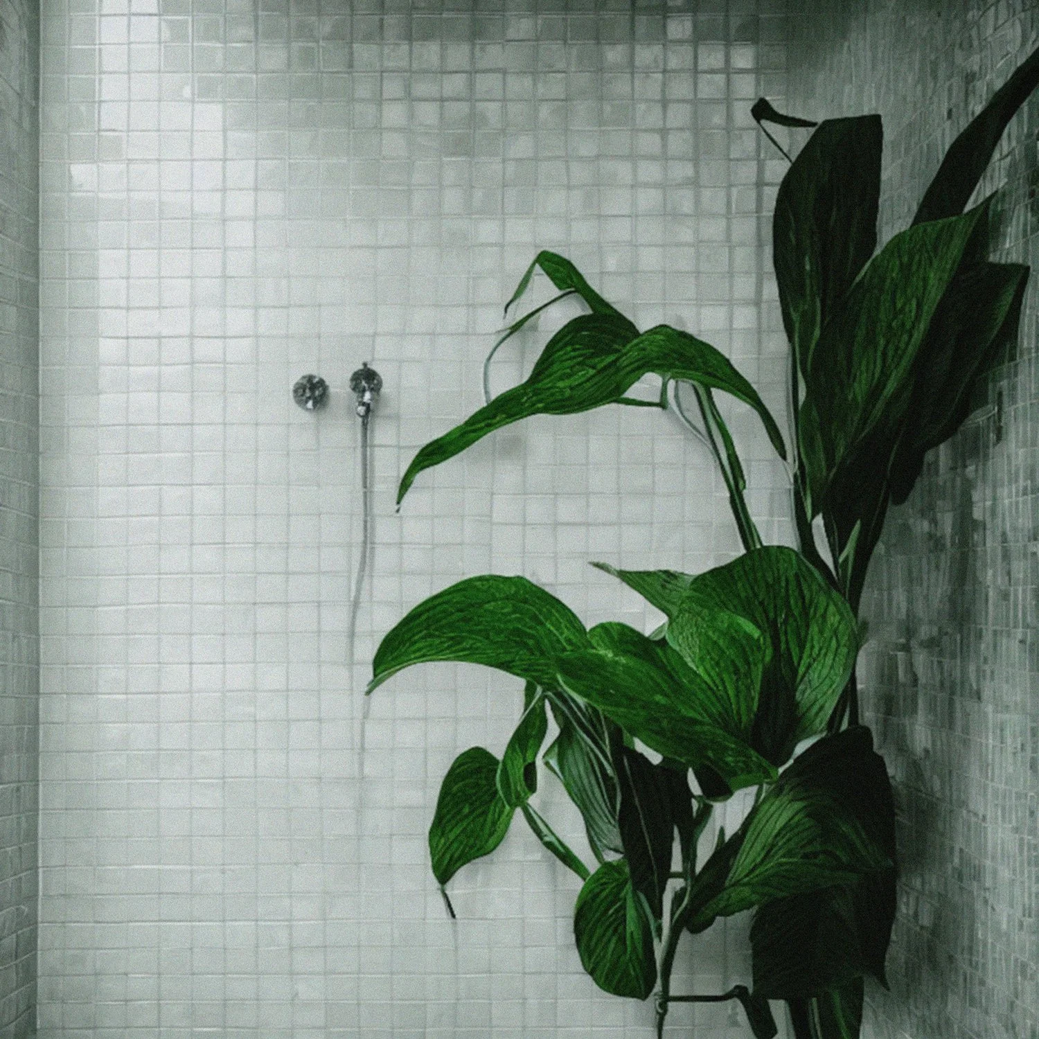 QRTR - WILT