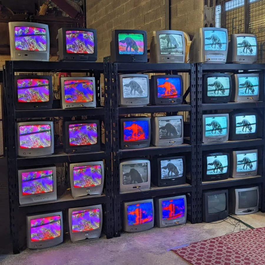 WhatsApp Image 2025-08-01 à lhhu.jpg