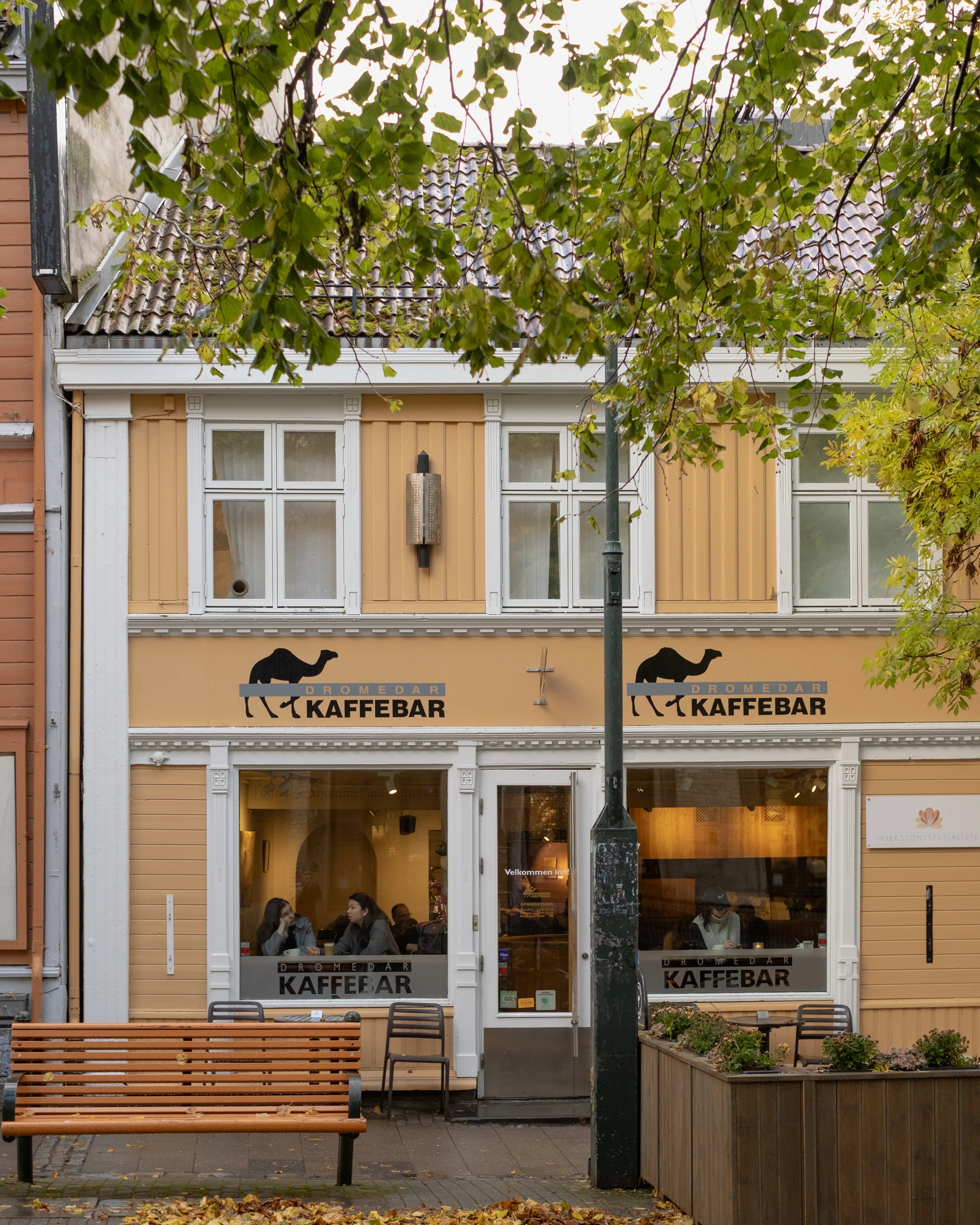 Utstilling i galleriet hos Dromedar Nordre januar og februar 2026