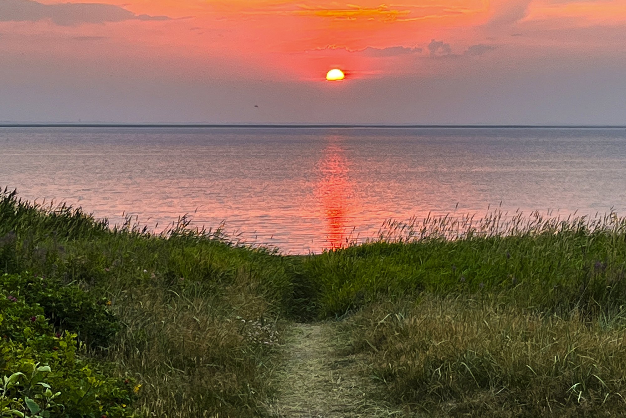 Surf-hytte_Bork-Havn_Danmark_23.jpg