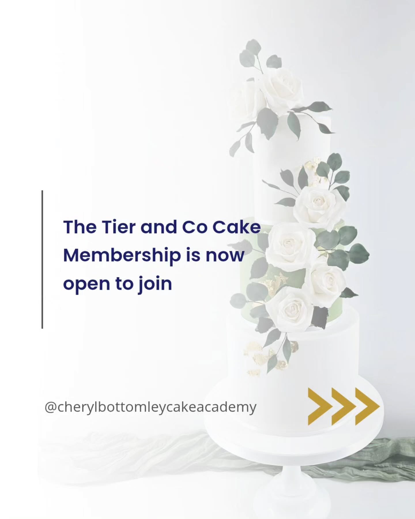 Tier &amp; Co Cake Membership is now open to join. 

If you want clearer pricing, better systems, professional cake skills and an amazing community. Plus tools to help you book with confidence. 

Now is the time to join. 

Comment the word READY and 