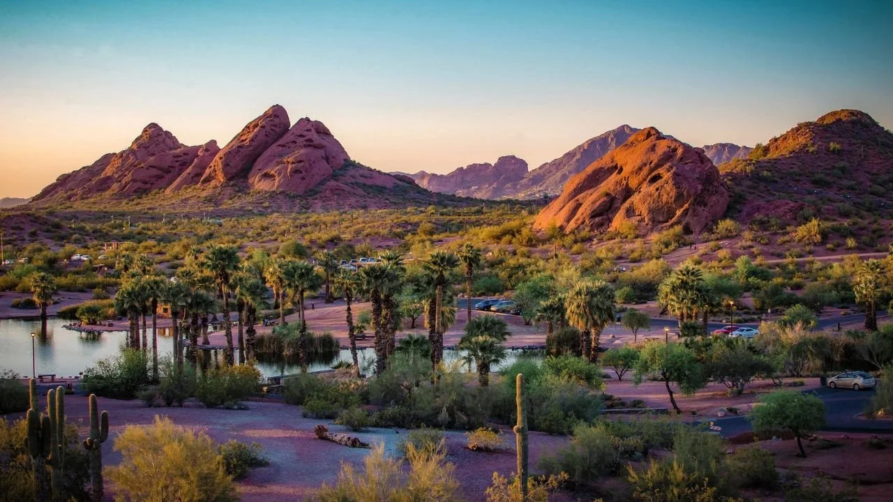 Squarespace Web Designer Phoenix