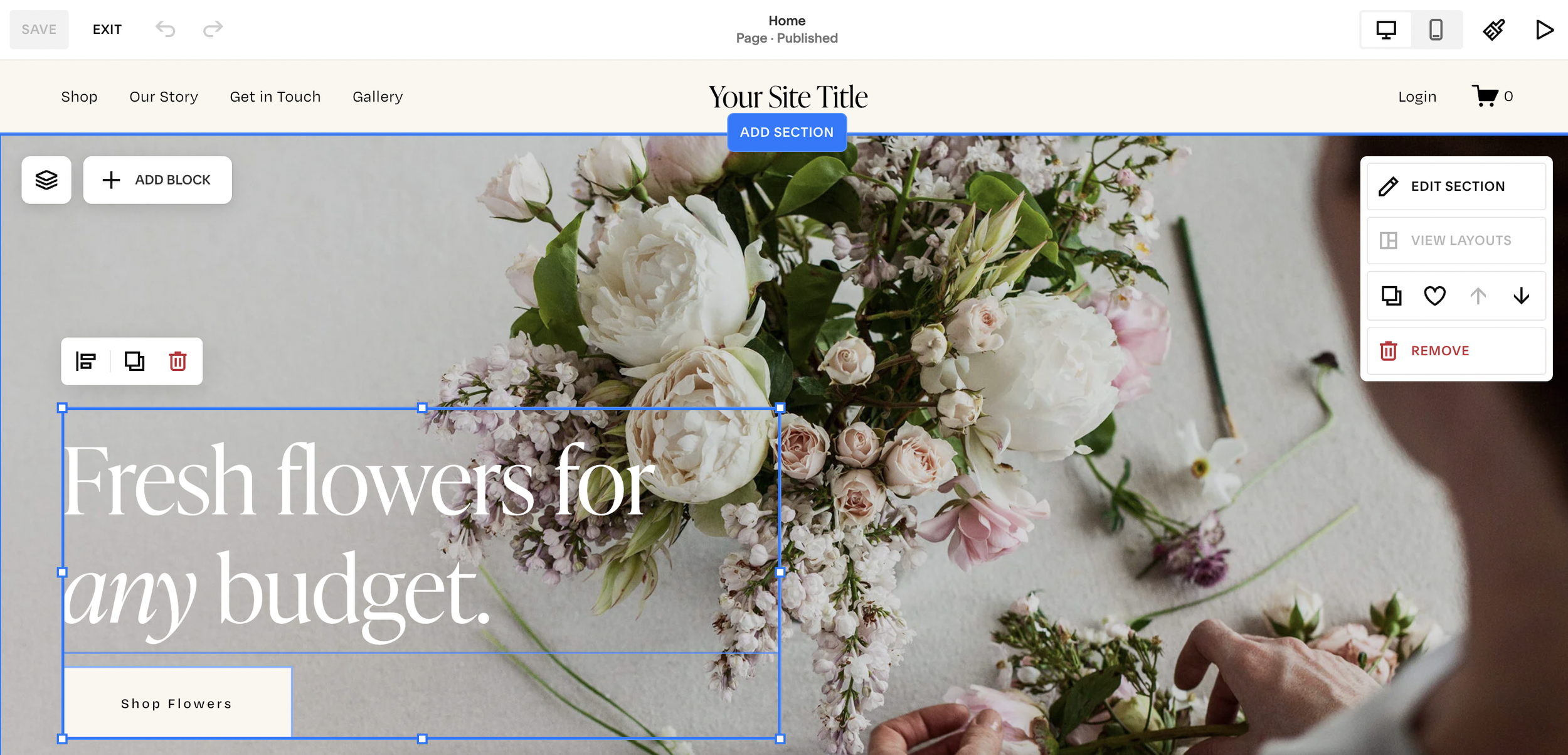 Highlighting multiple blocks on Squarespace