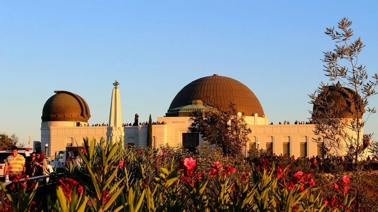 Squarespace Web Designer Los Angeles