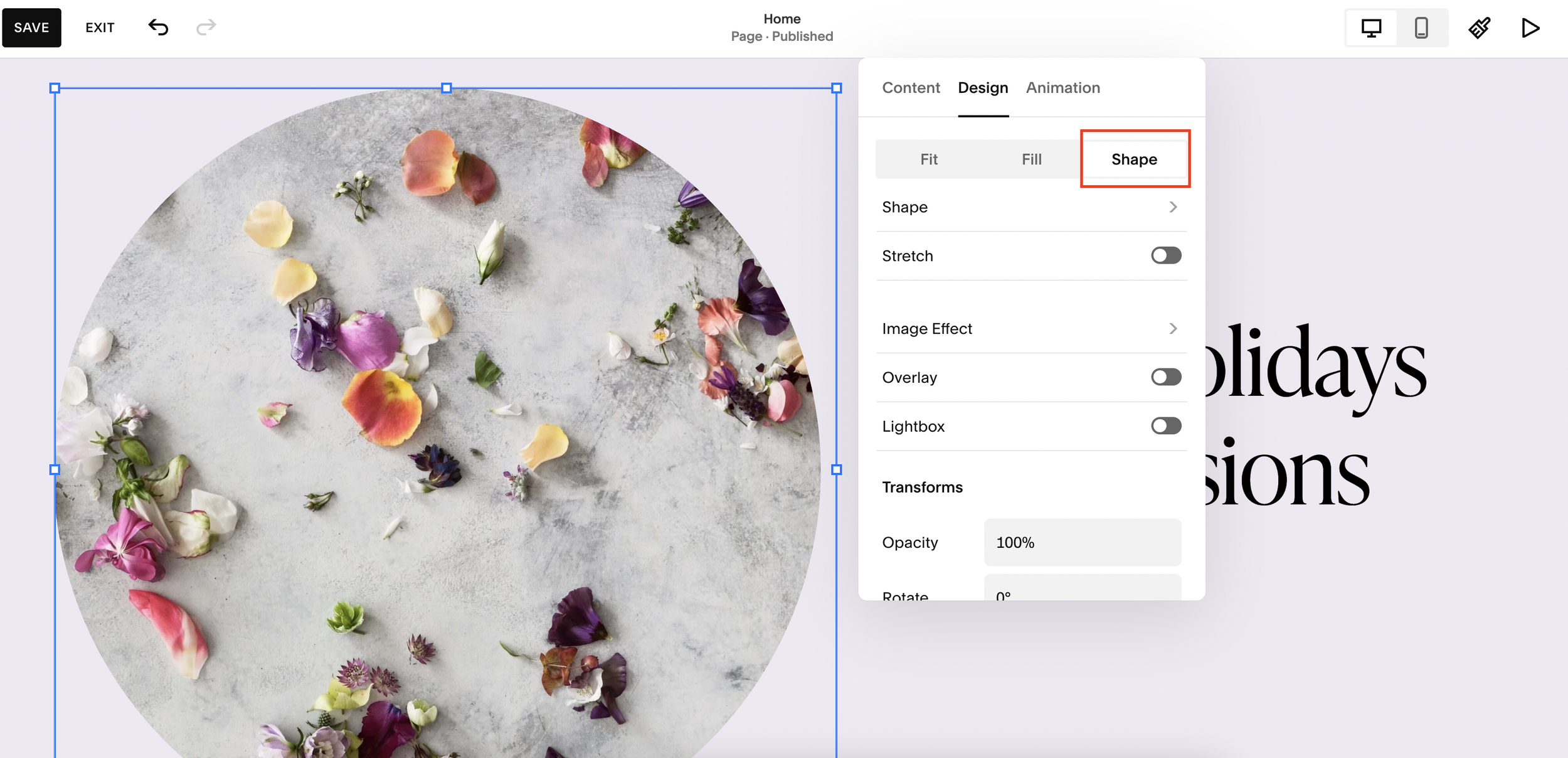 Make images circle on Squarespace