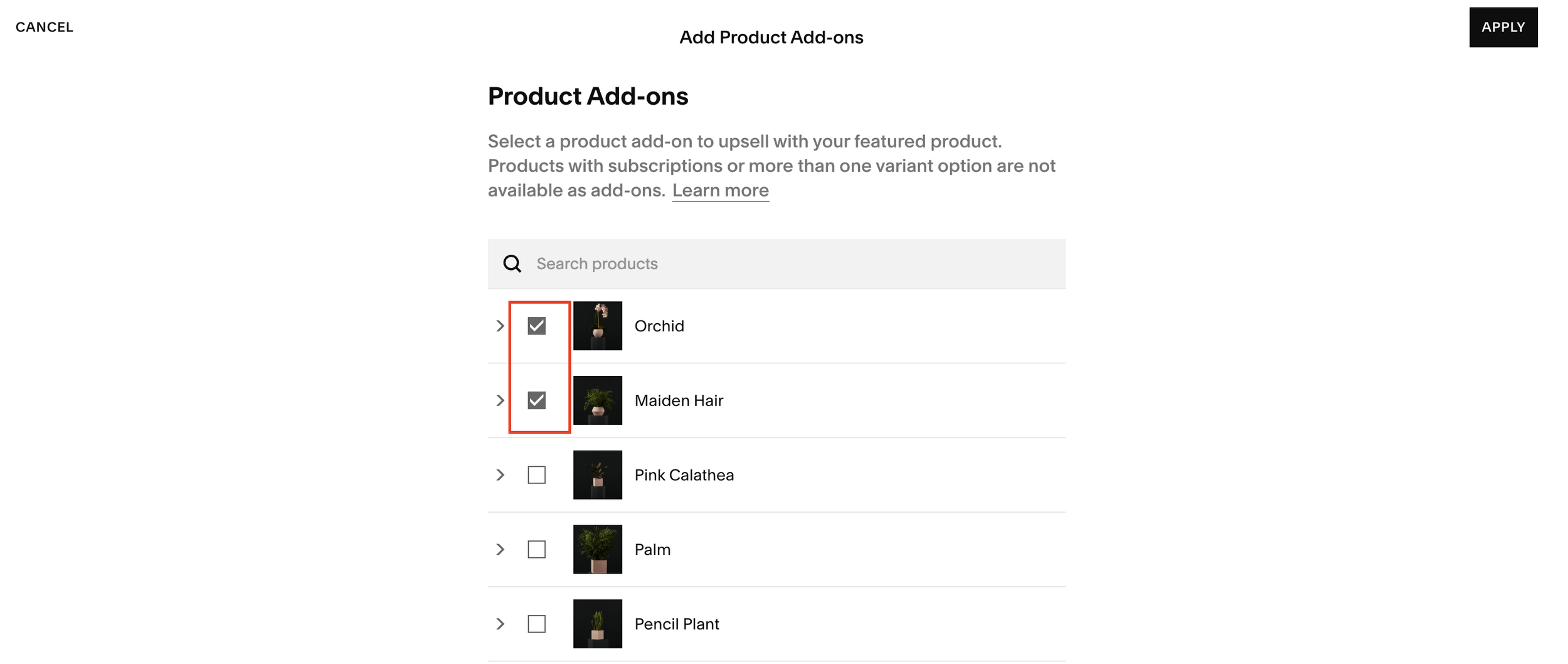 How to Enable Product Add-Ons on Squarespace — by Crawford