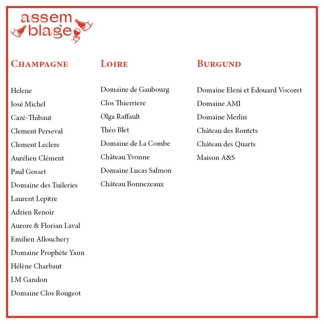 Assemblage_Rahmen_Auflistung CH_BG_LO.jpg