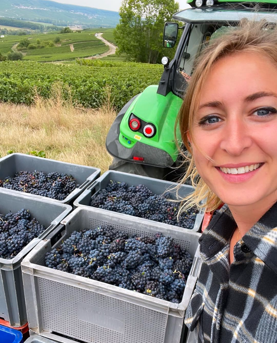 Bildschirmfoto 2025-01-27 um 09.53.09.jpeg