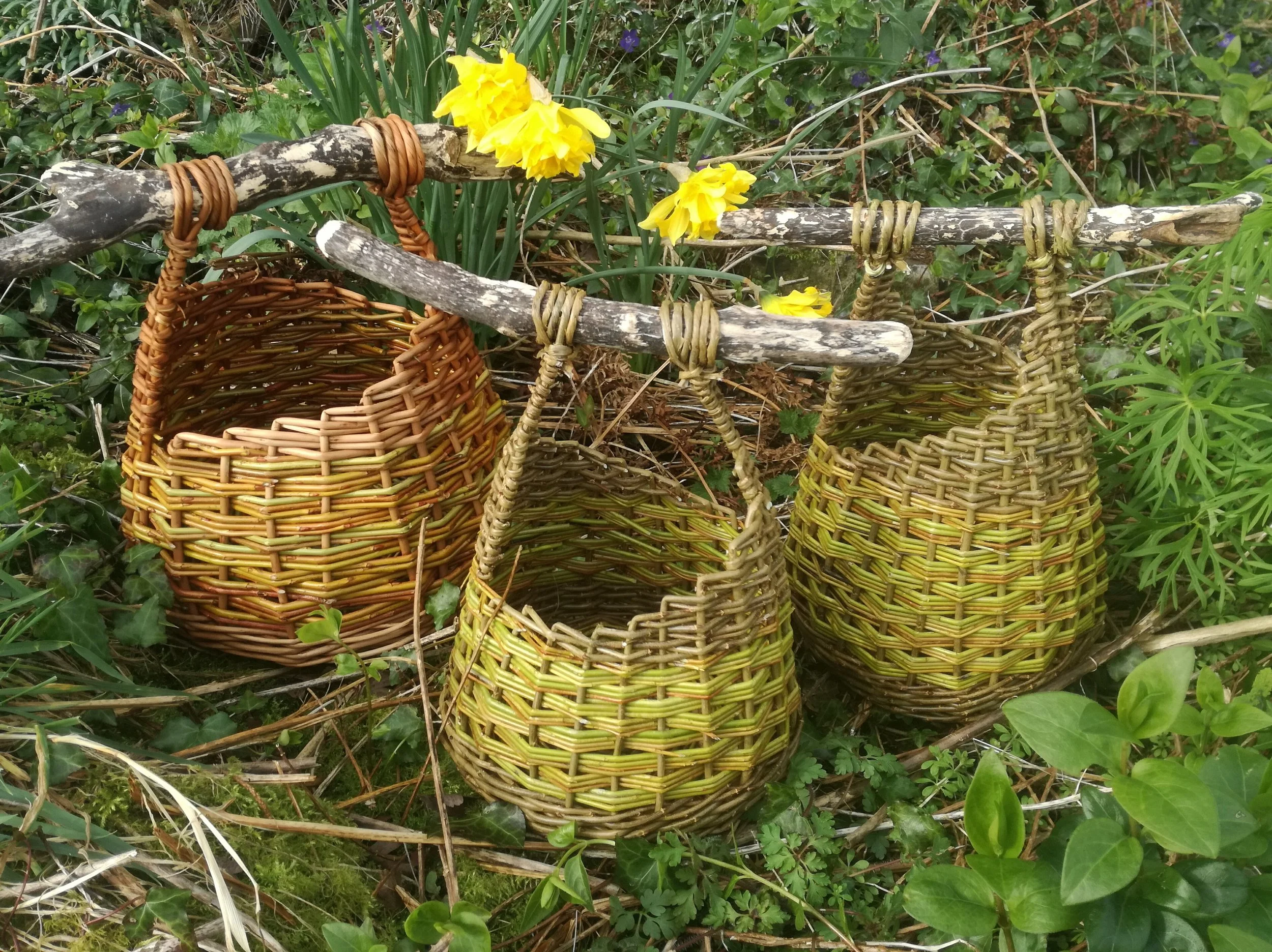 Spring foraging basket - 20th March 2027