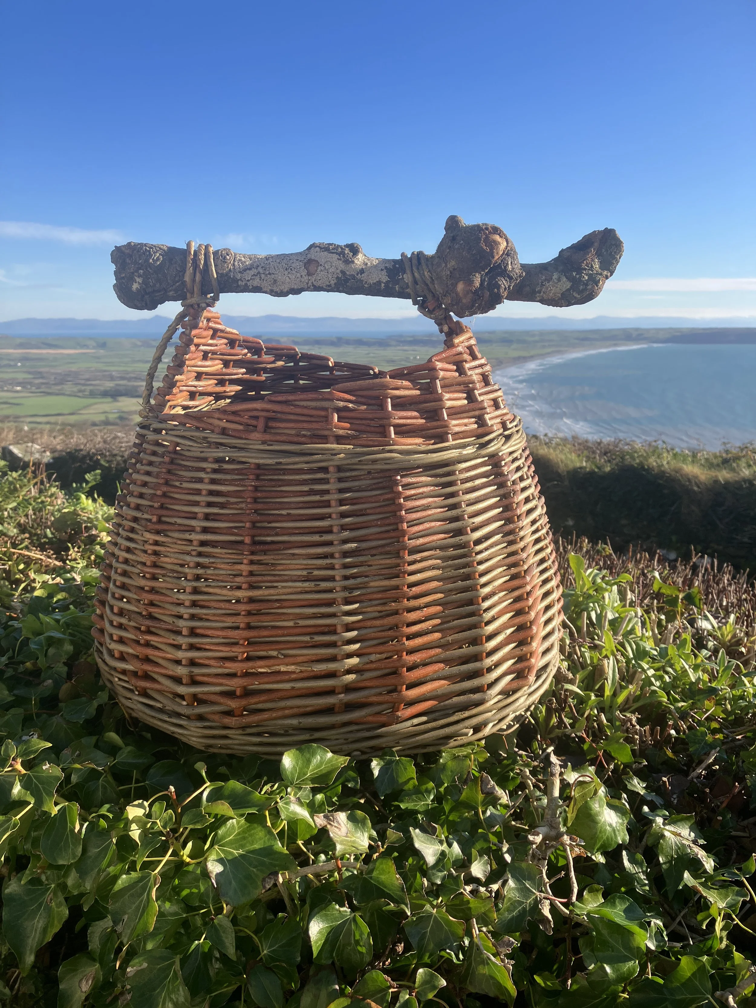Driftwood handle basket/kindling basket - 6th Feb 2026