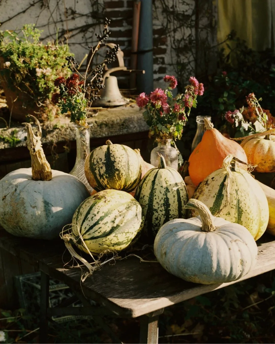 As autumn settles in, I&rsquo;m leaning into the rituals that make darker days feel cosy and nourishing. Candles in the morning, soups simmering on the stove, and seasonal produce bringing colour to my kitchen.

This is the season of grounding and pr