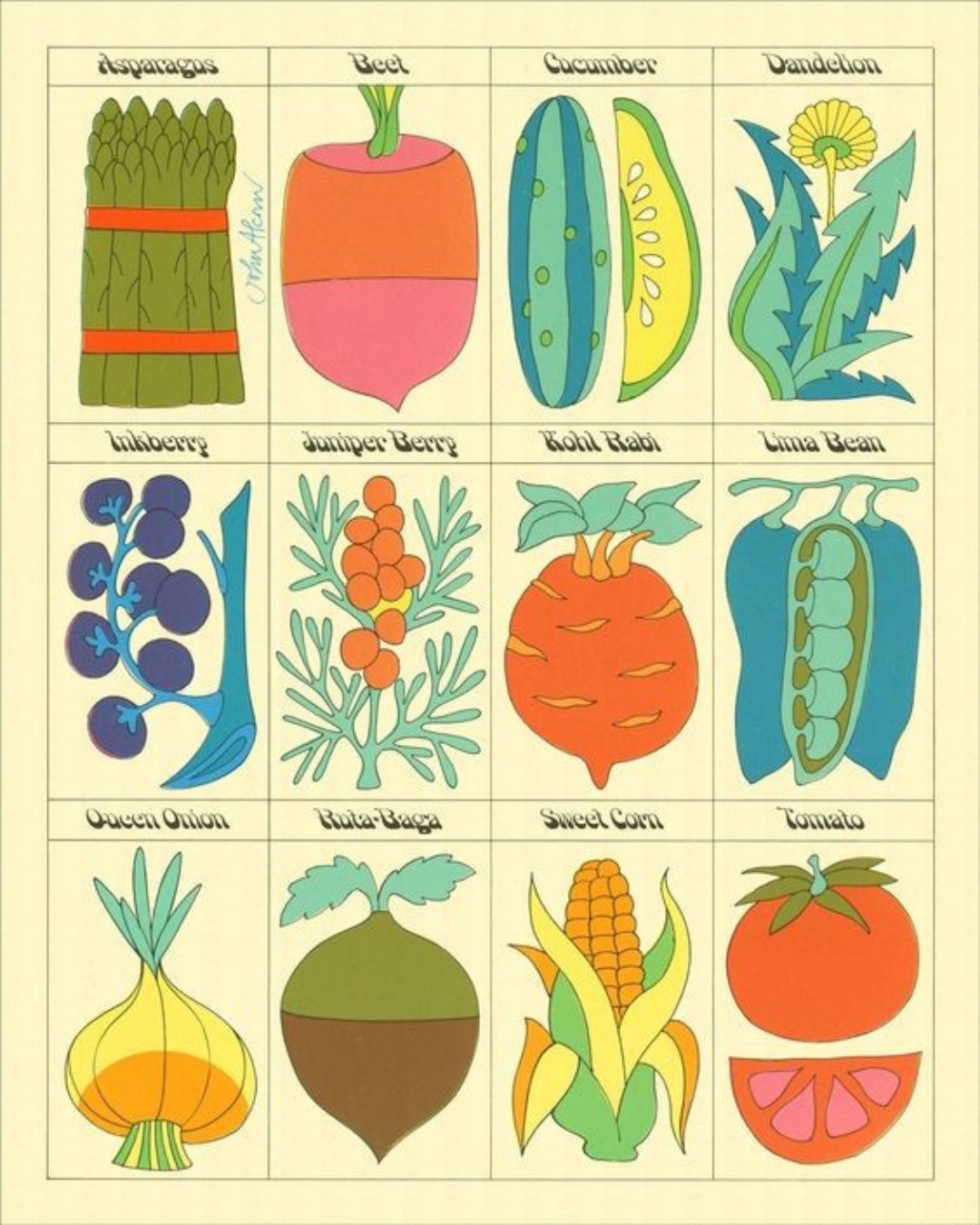 I work with clients following a wide range of dietary patterns, and your nutrition plan will always be shaped around what feels right for you. Whether you follow a vegetarian, vegan, flexitarian or pescatarian diet, or you eat in a particular way for