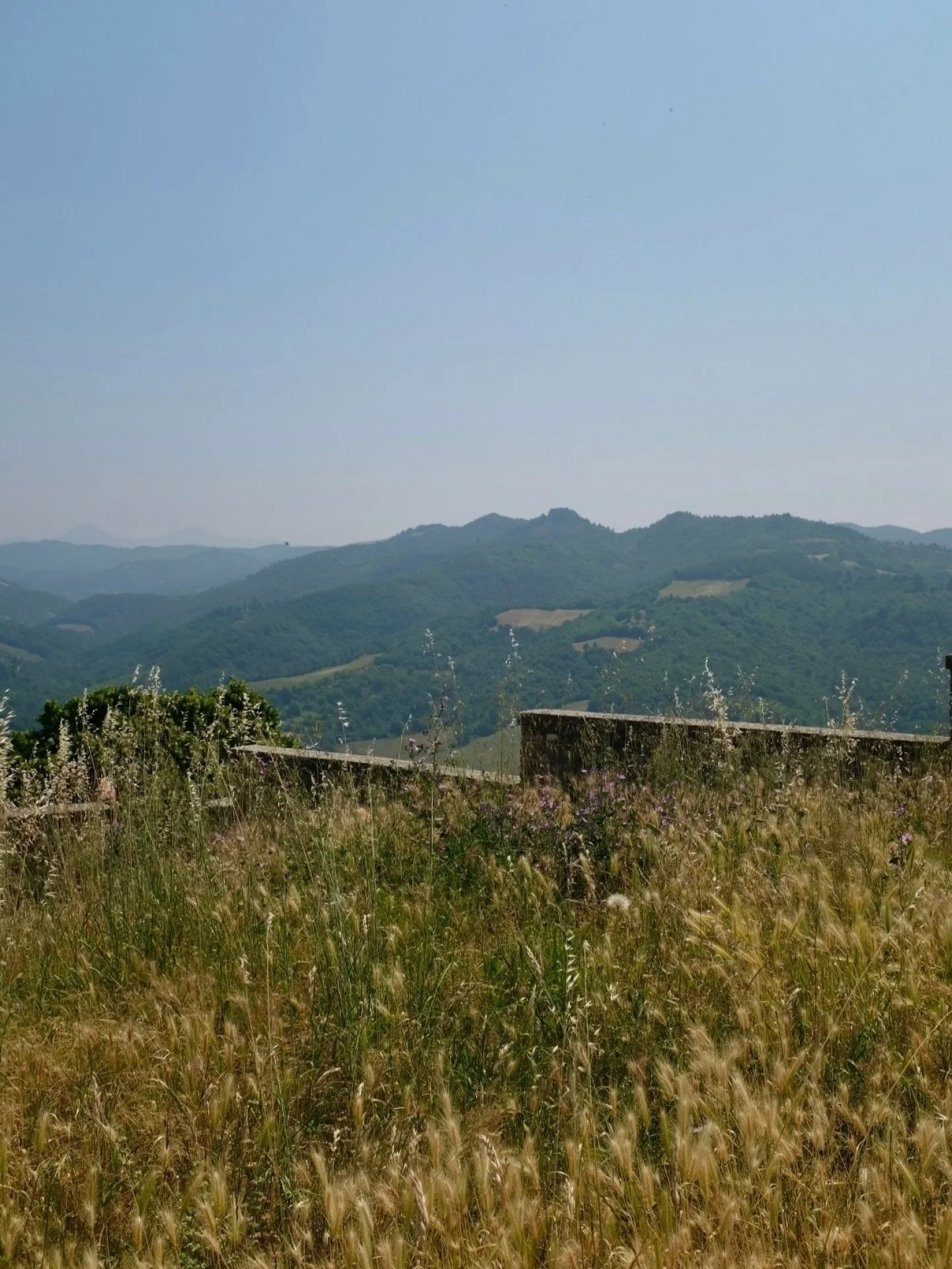 A little throwback to sun-drenched Umbria on this 'Blue Monday' ☀️

Travel always reminds me how powerful it is to slow down and reconnect with your body, something reflexology and nutritional therapy can really support, especially through the long w