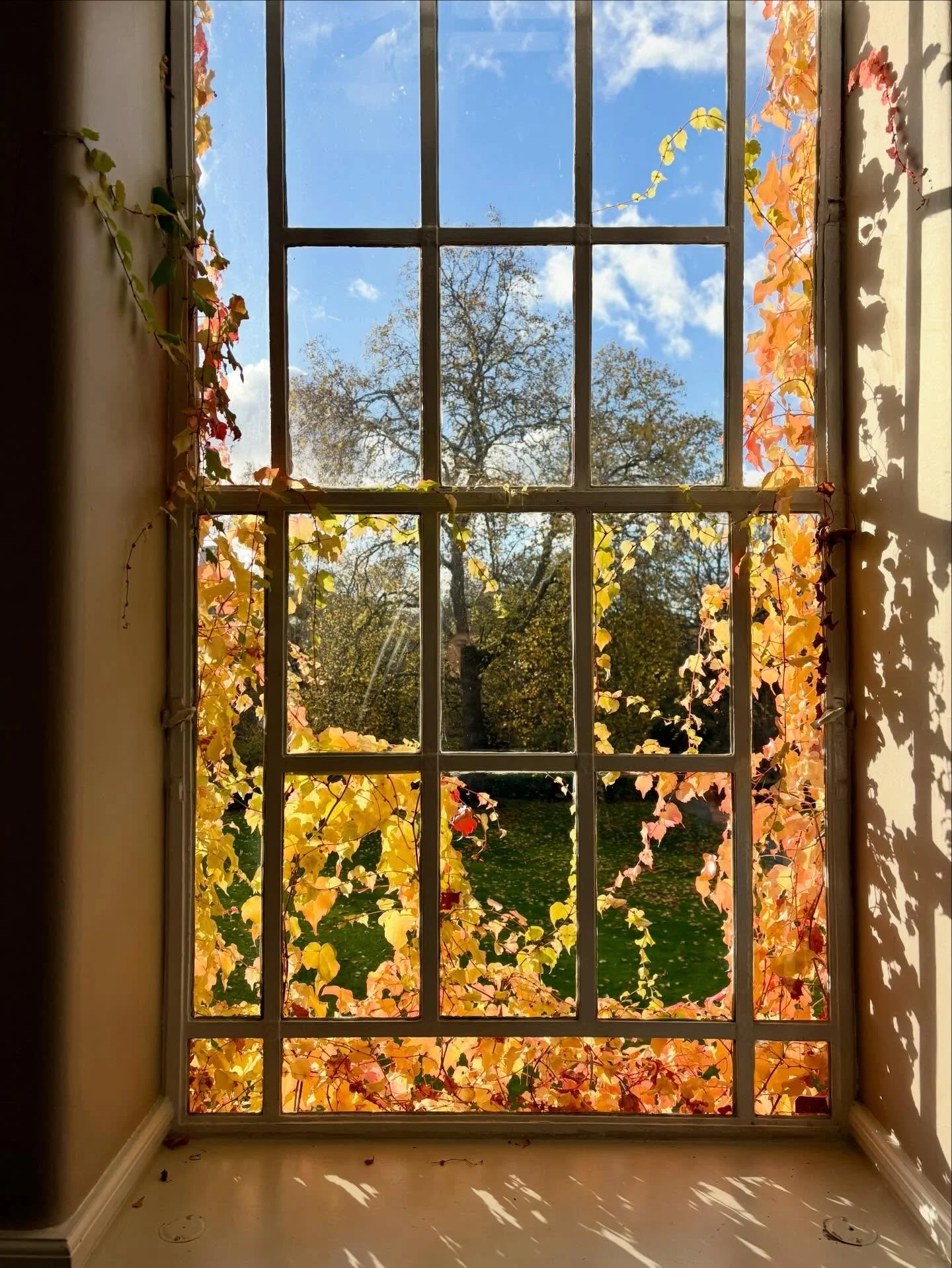 It was such a privilege to complete my reflexology training at the London School of Reflexology at Regent&rsquo;s University, right in the heart of Regent&rsquo;s Park. It&rsquo;s a pretty special place to learn, and I really valued being able to stu