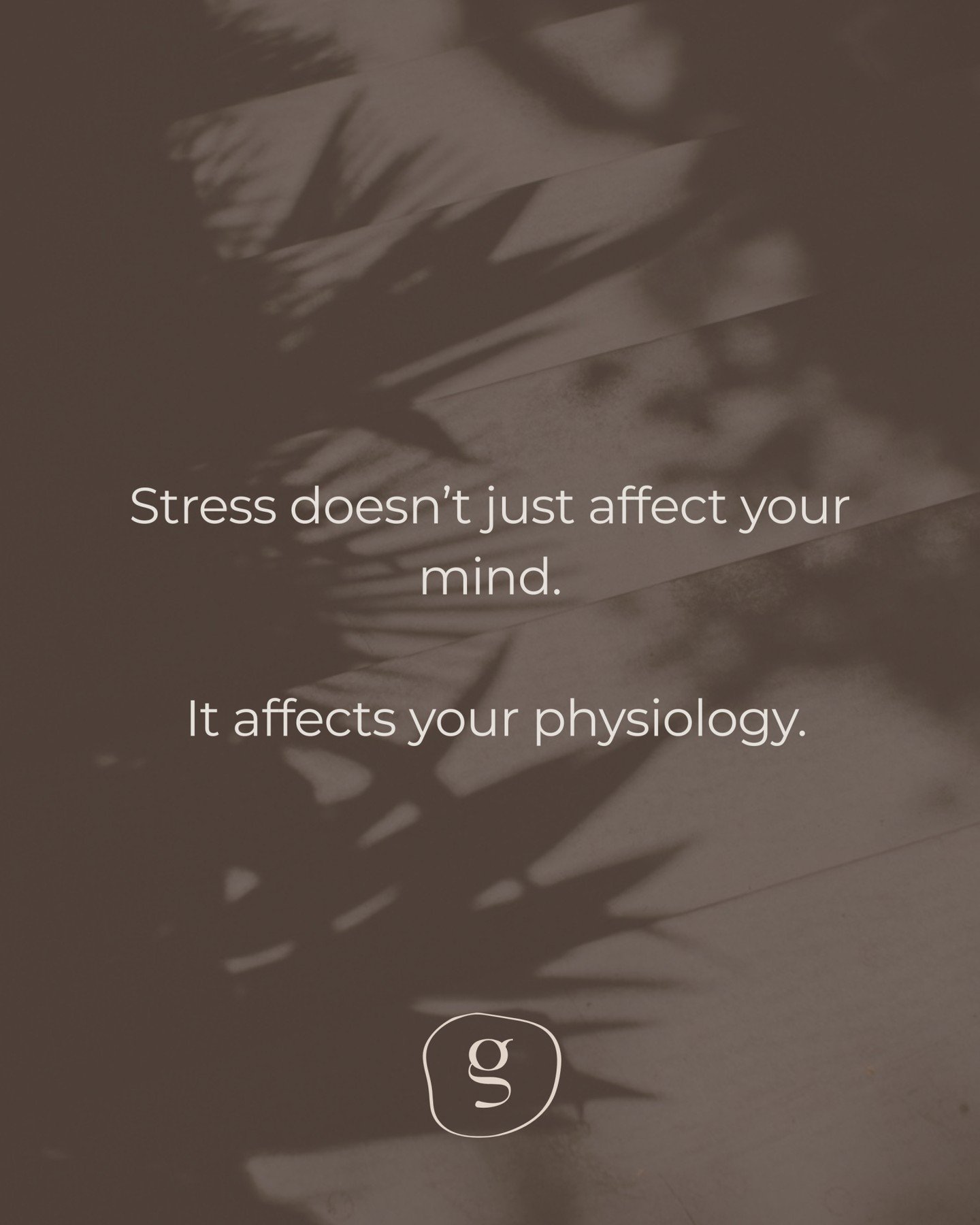 Stress-related health changes are rarely random.

Digestive shifts, heavier periods, skin flares, caffeine reliance, disrupted sleep &mdash; these patterns often reflect cumulative stress interacting with your physiology.

This is the perspective I i