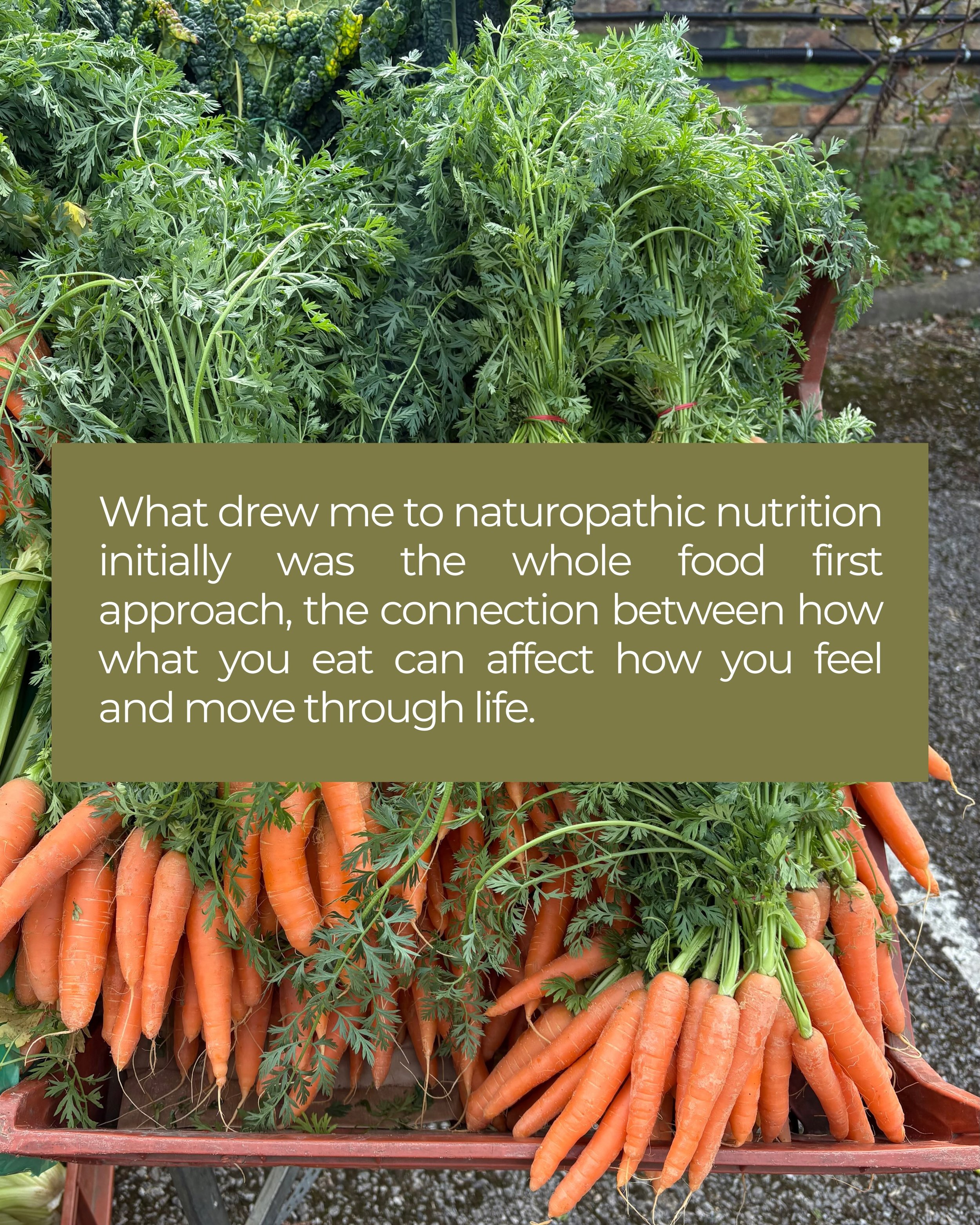 Curious about naturopathic nutrition and how it works? Here&rsquo;s what drew me to studying it, and the foundations my approach is built on.

I offer a complementary discovery call if you&rsquo;d like to hear more about working together, or head to 