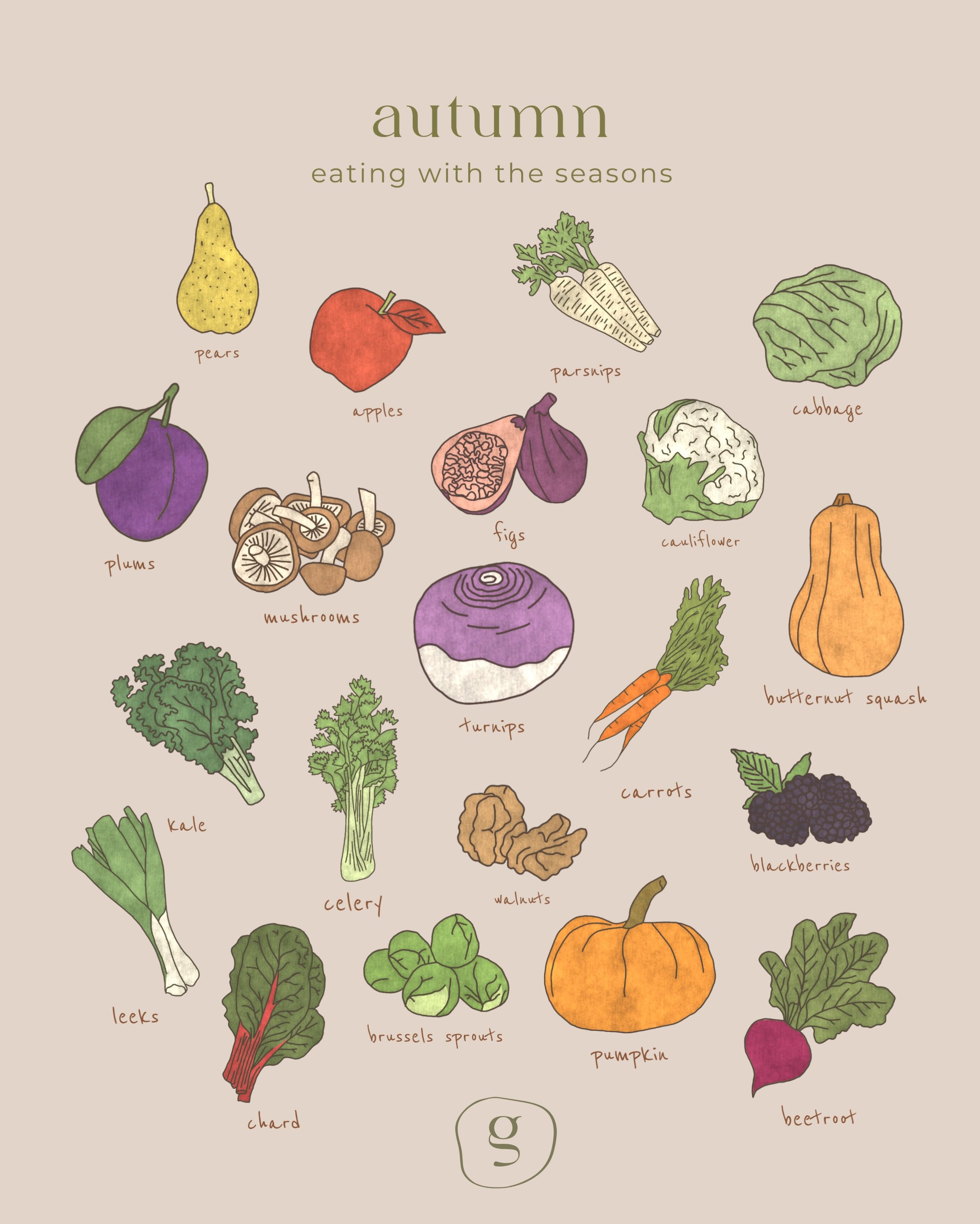 One of my favourite little weekly rituals is wandering around our local farmers market and seeing what&rsquo;s come into season.

Autumn always feels so abundant. Deep reds, burnt oranges and rich purples alongside every shade of green, and so many o