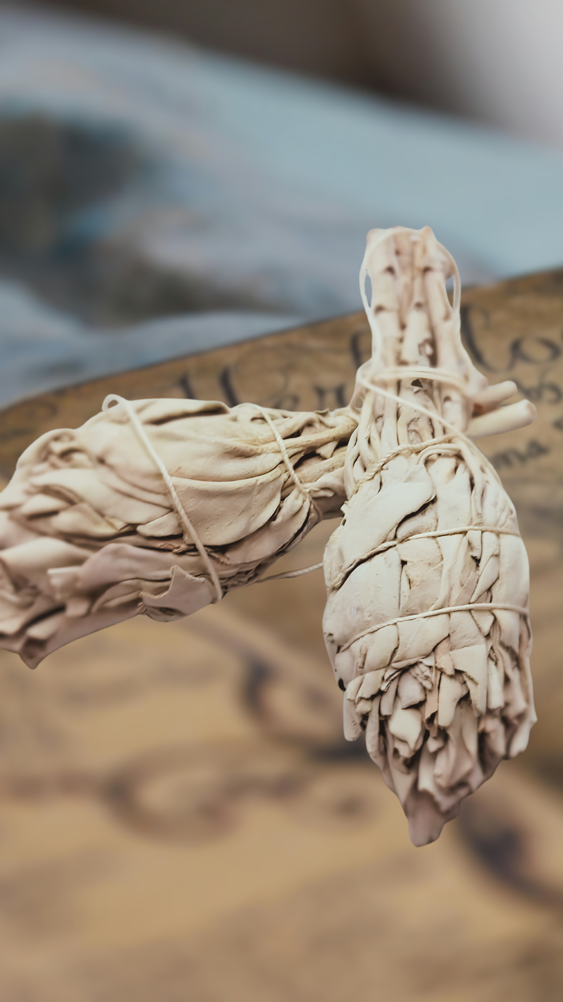 White Sage Roll  (1).png