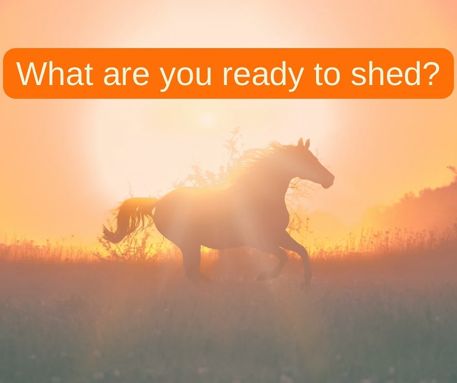 We&rsquo;re still in a shedding phase.

A time to let go of what no longer serves us. Old habits, patterns, beliefs, or physical symptoms we&rsquo;ve learned to live with.

This shedding is not about forcing change. It&rsquo;s about creating space fo