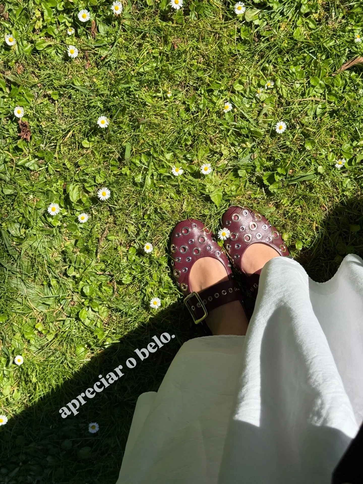 um resuminho dos &uacute;ltimos dias. o sol est&aacute; de volta e a vida fica mais bonita. este inverno pareceu o mais longo de sempre ou &eacute; impress&atilde;o minha? 🤷🏻&zwj;♀️