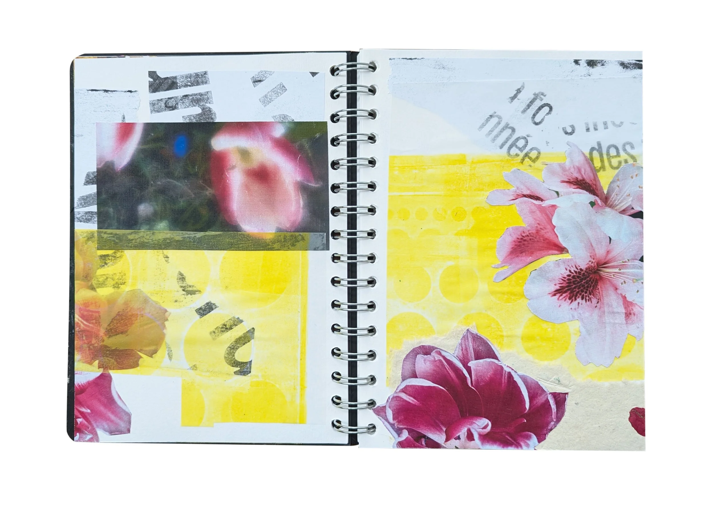 flower-fragments-4.jpg
