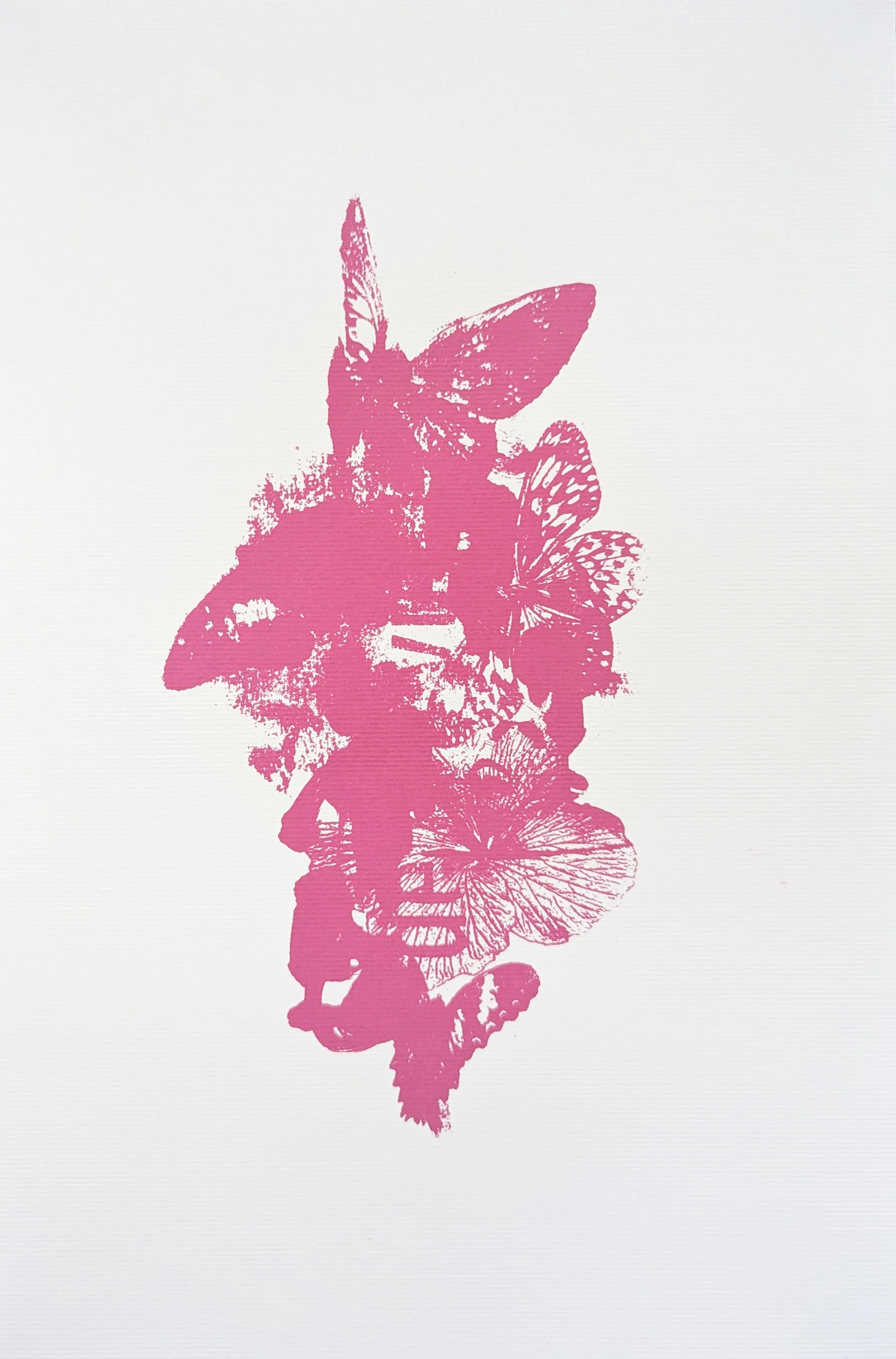 Butterfly-pink.jpg
