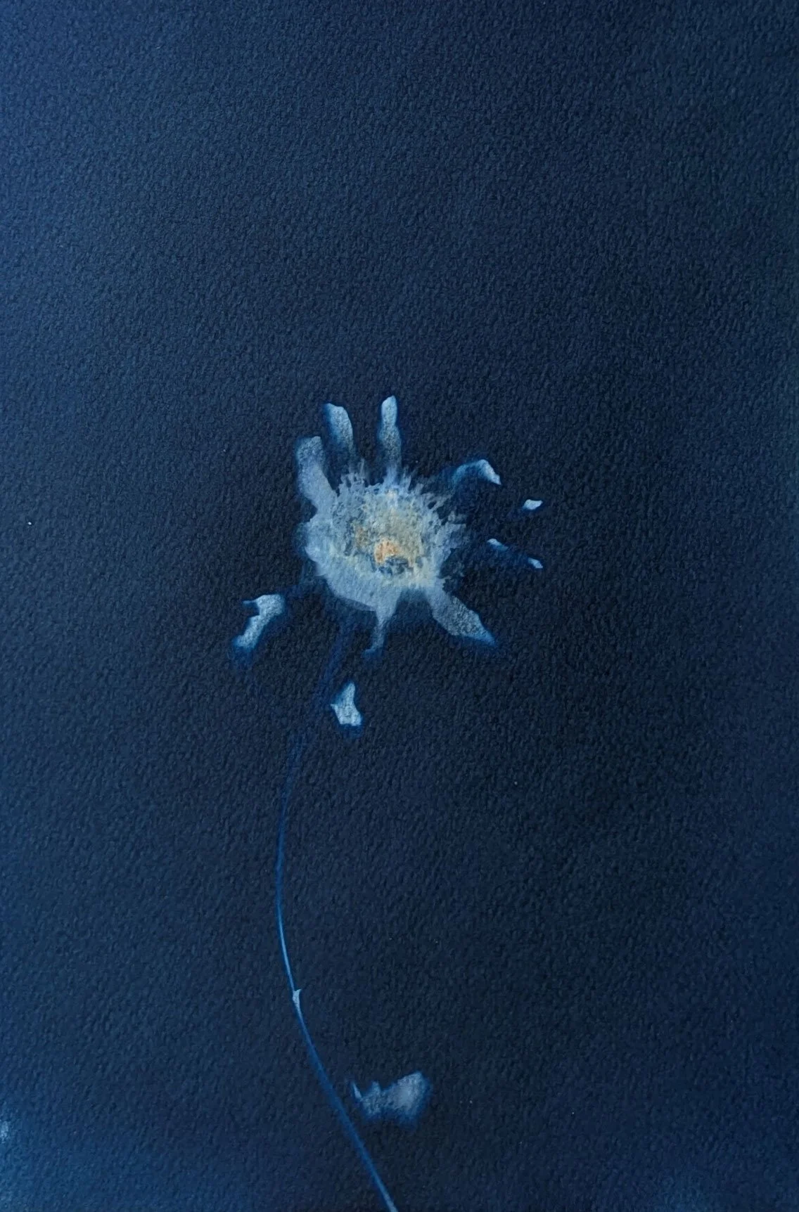 Blue-sunflower-4.jpg