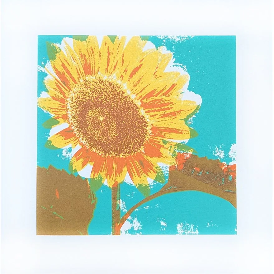 To the Sun