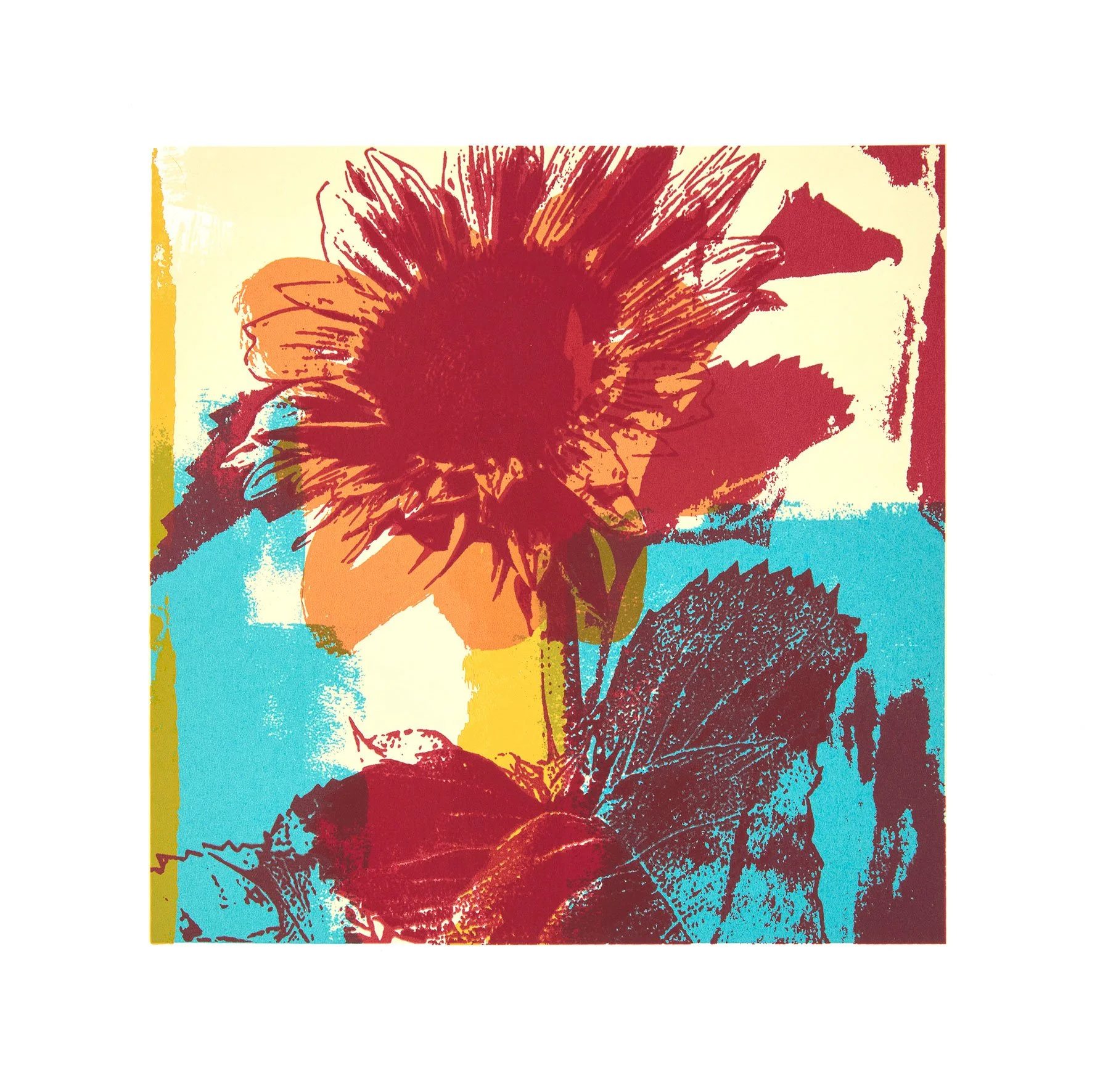 Sunflower orange