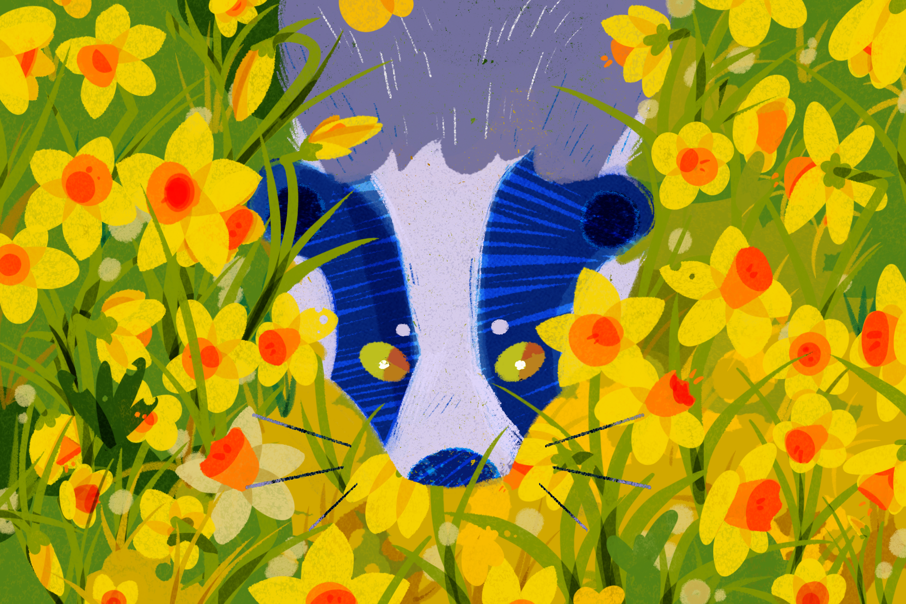 Nation.Cymru:
"Animal charity highlights the importance of badgers in Wales ahead of the 2026 Senedd election"