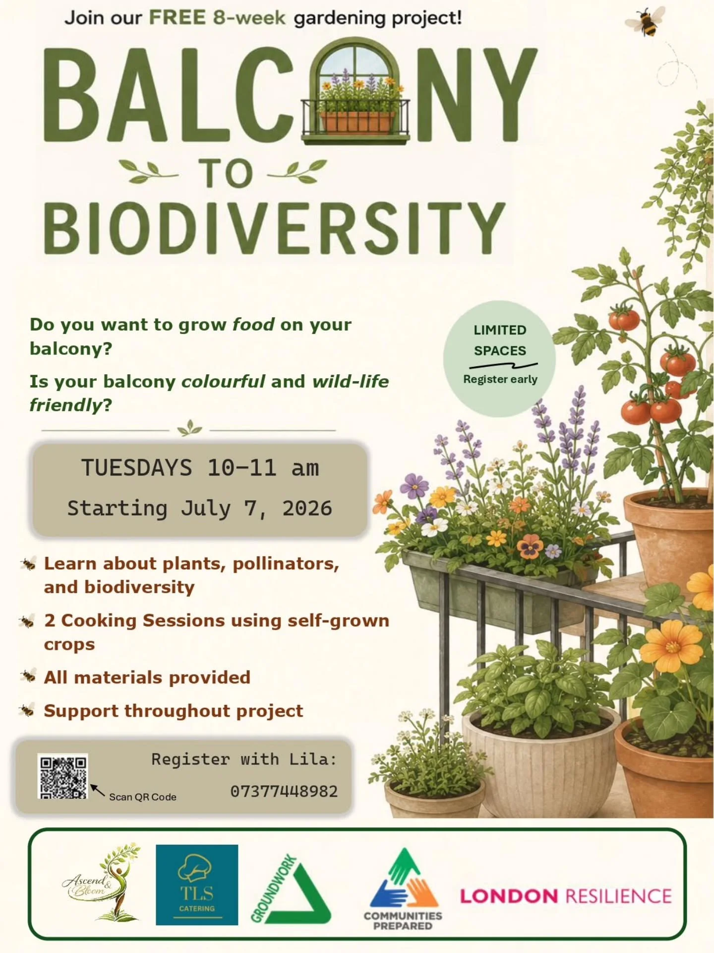 📢 We are excited to be partnering with the amazing @ascend.bloom to provide this fantastic project in the community!✨️

The project will teach you how to make the most of your balcony by growing crops that can be used in cooking and healthy eating a