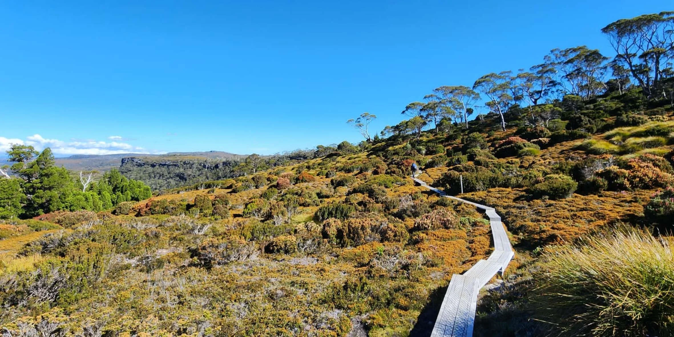 A hiking trail winding through a colorful shrubland on a hillside under a bright blue sky, with distant hills and trees in the background.