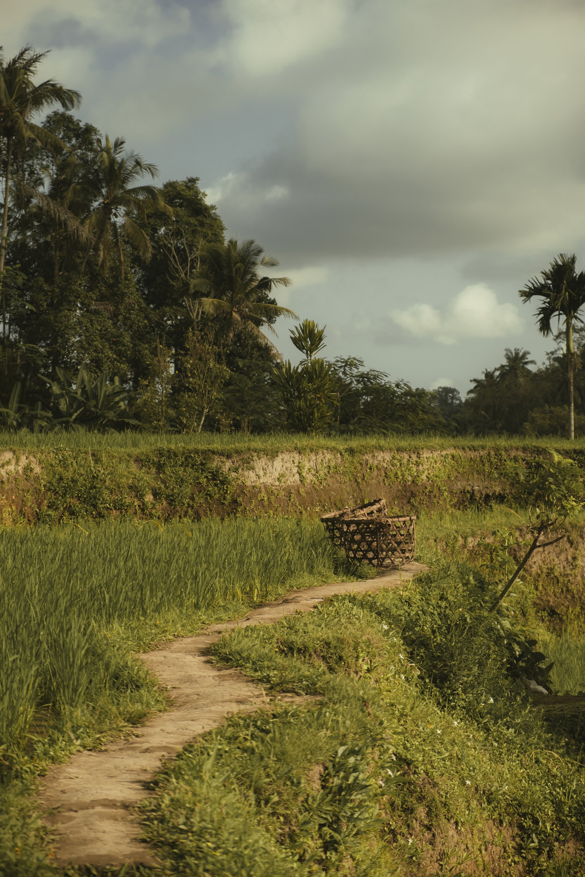Bali-138.jpg