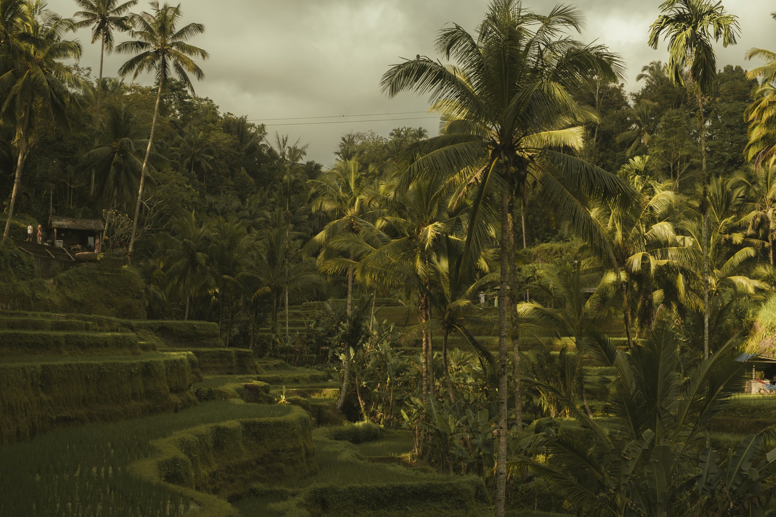 Bali-143.jpg