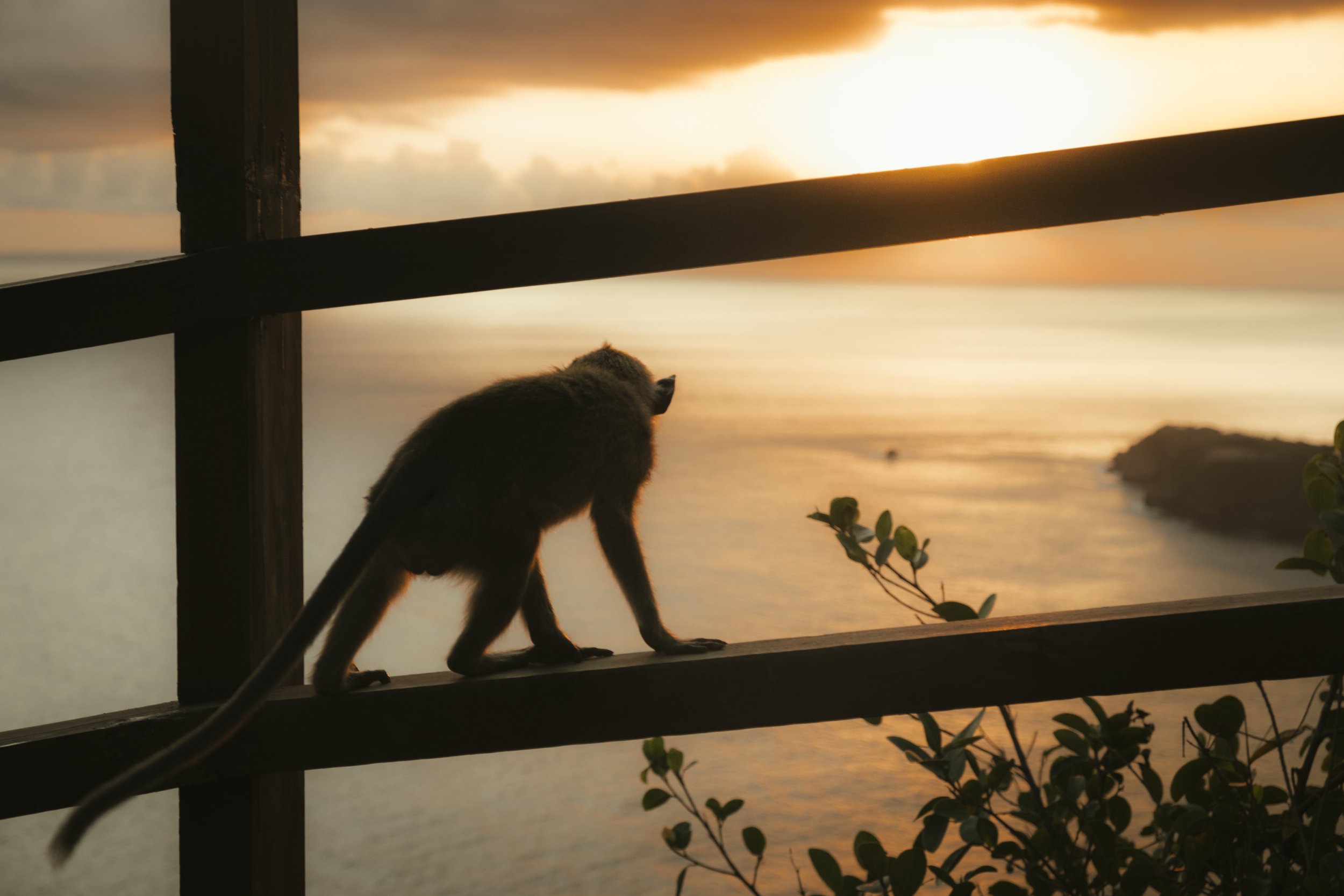 Bali-179.jpg