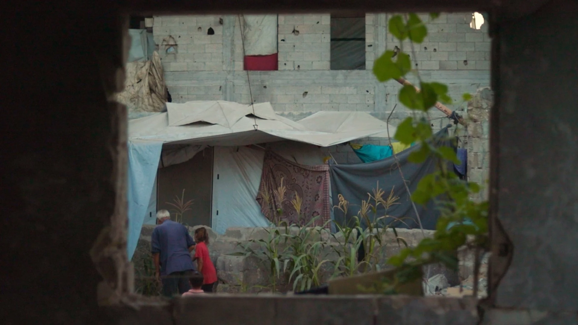 Gaza: What Still Grows