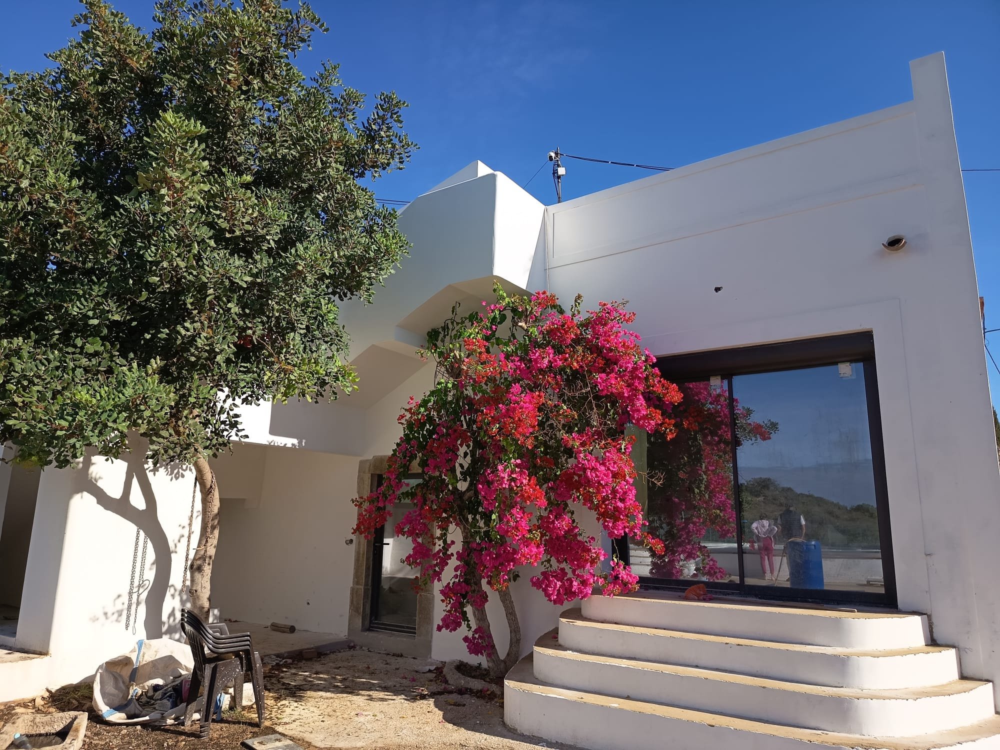 Rénovation maison portugaise avec grandes fenêtres, arbre et bougainvillier rose au premier plan, ciel bleu clair.