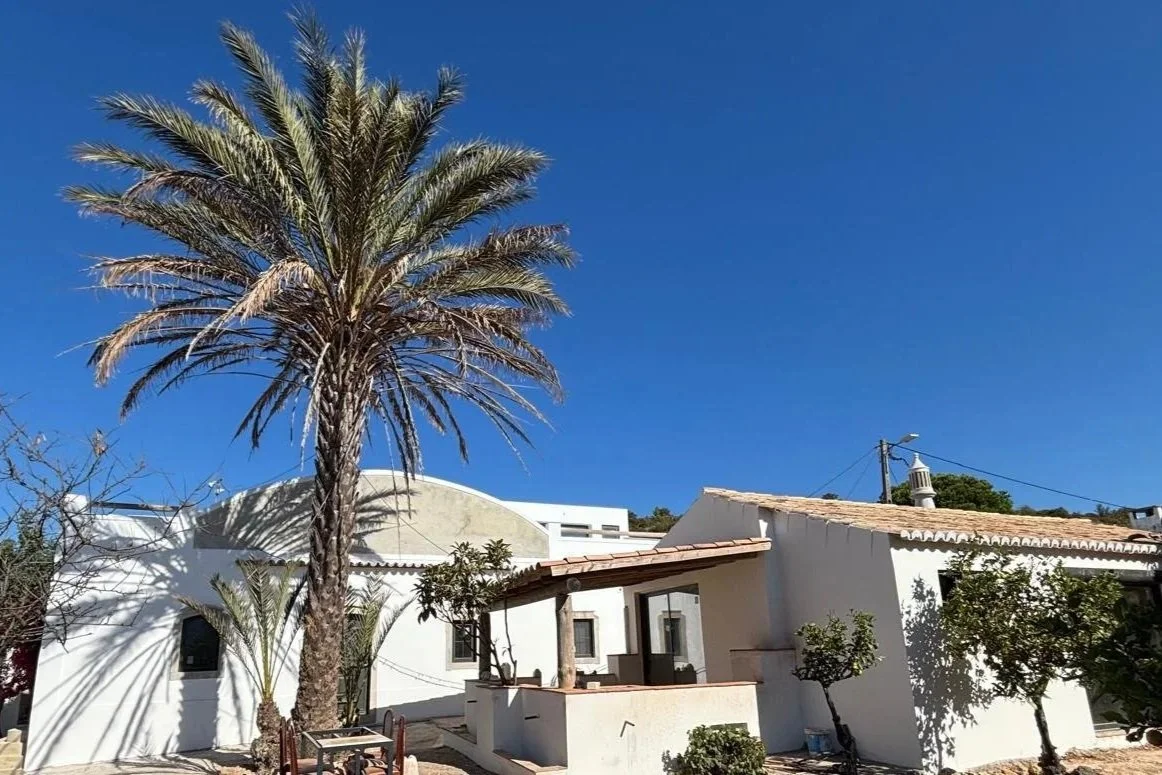 Une maison blanche avec un toit en tuiles, entourée d'arbres et d'un palmier, sous un ciel bleu clair.