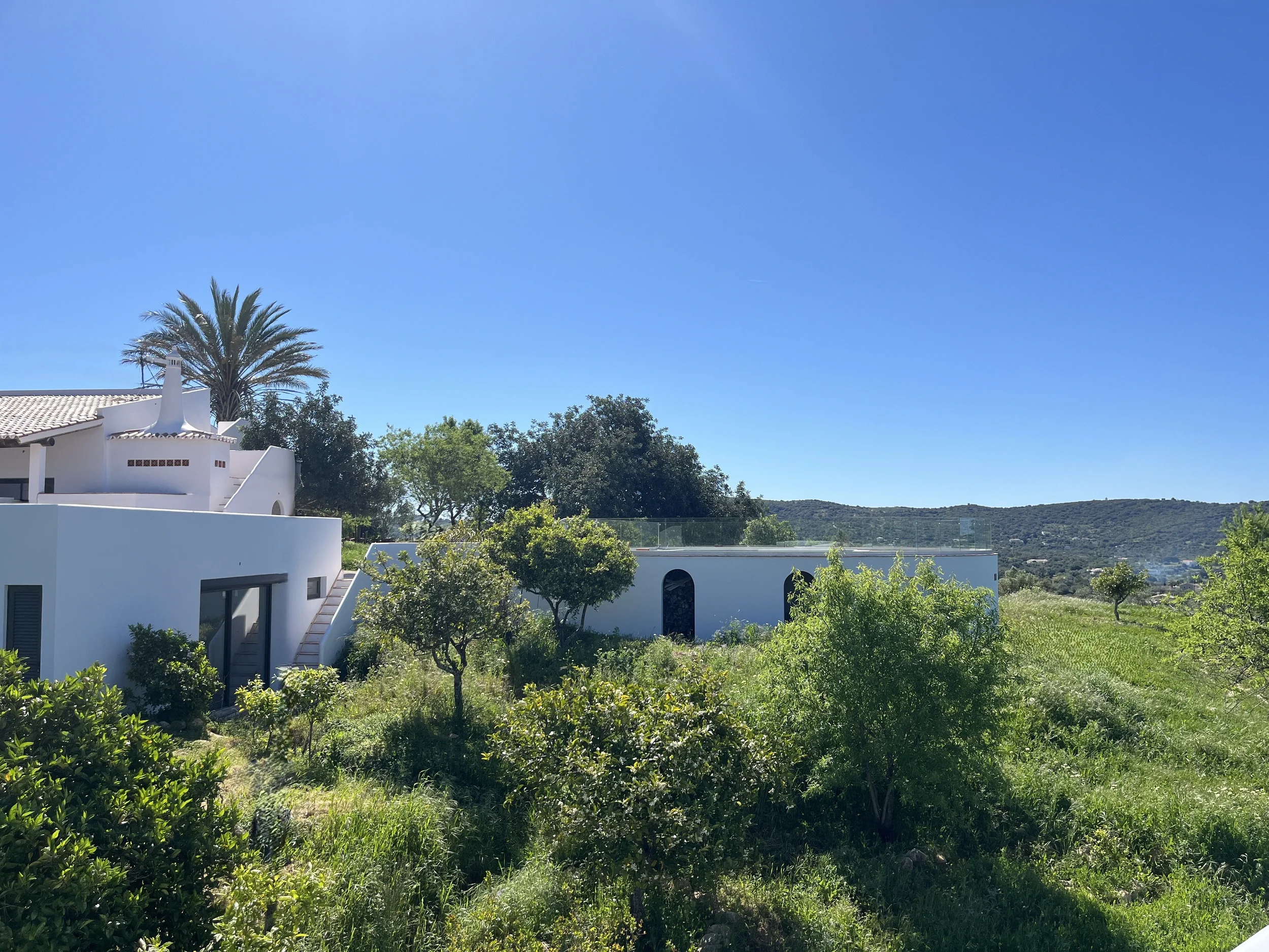 Maison blanche moderne avec une toiture en tuiles, entourée de végétation et de palmiers, avec un ciel bleu clair.