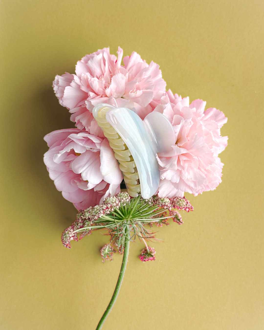 Creative direction + content creation for Tort