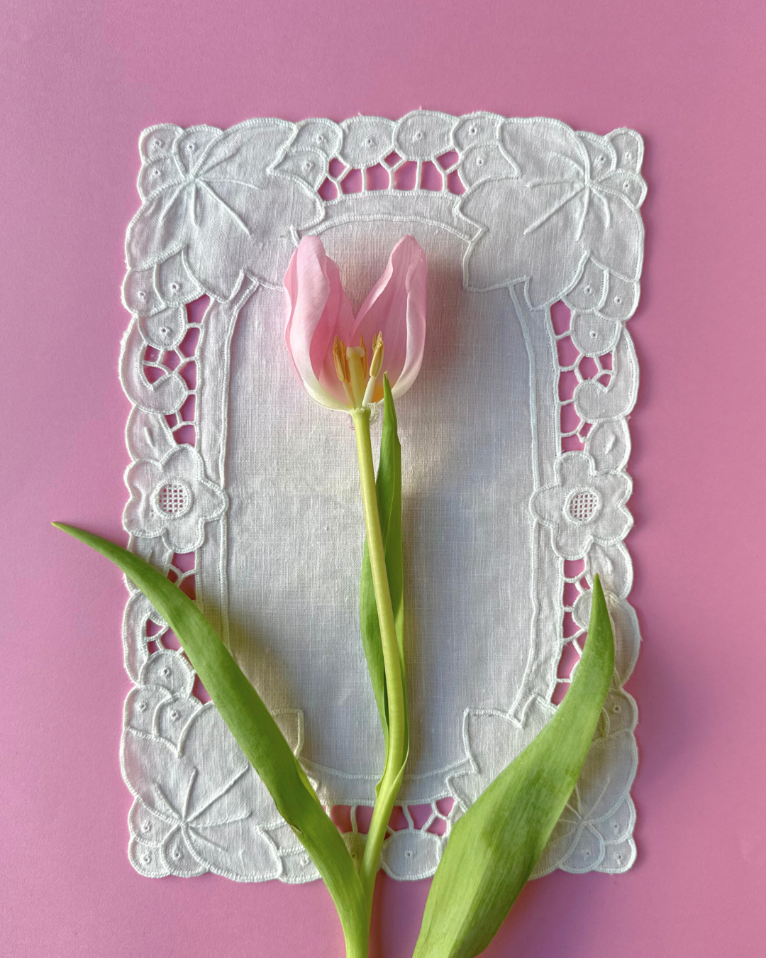 GIVE THE GIFT OF FLOWERS.png